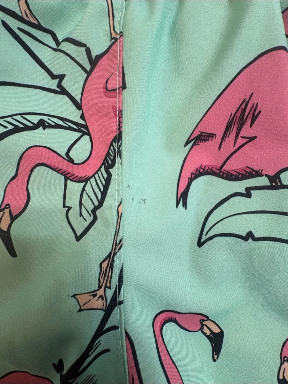 Hollister Mint Green Flamingo Swim Trunks Size XS